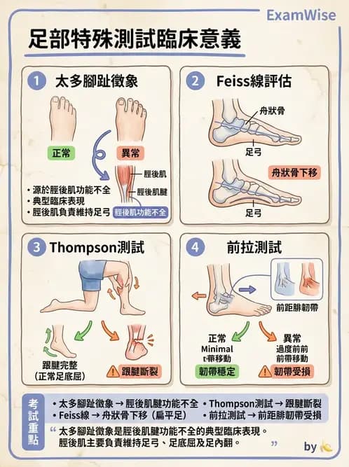 物治 - 足部病變與輔具評估 - AI 圖文解析預覽