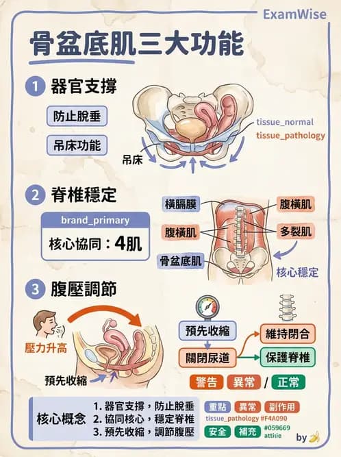 物治 - 女性健康 - AI 圖文解析預覽