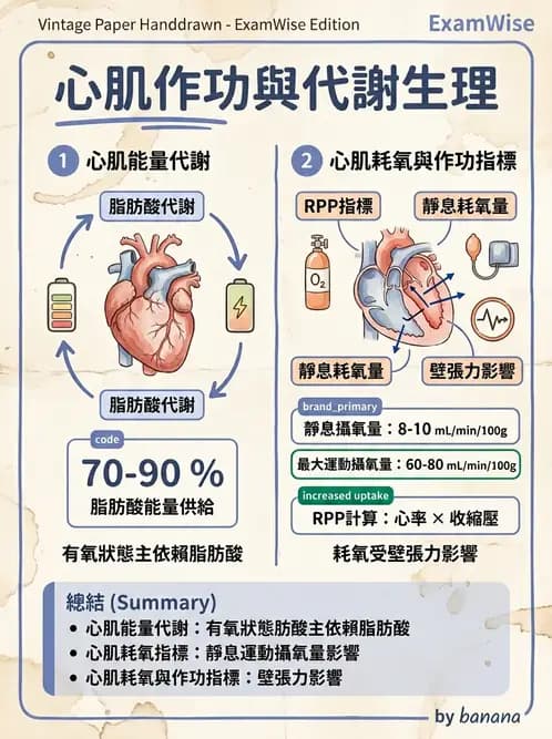 物治 - 循環解剖、生理與血流動力學 - AI 圖文解析預覽