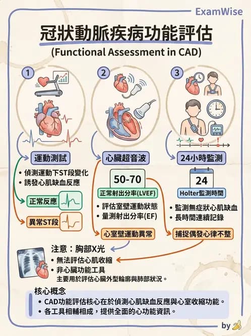 物治 - 心臟診斷工具與運動測試 - AI 圖文解析預覽