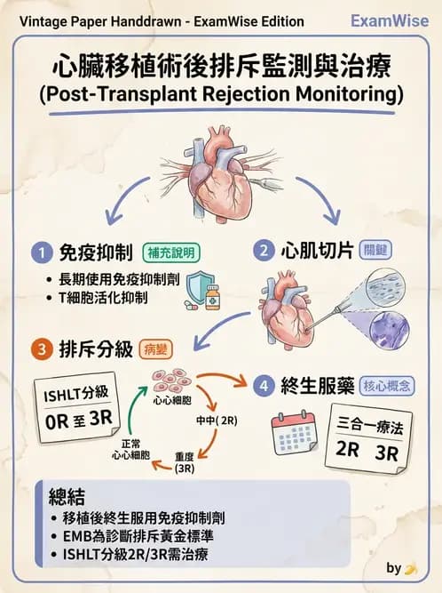 物治 - 胸腔手術、肺移植與呼吸器 - AI 圖文解析預覽