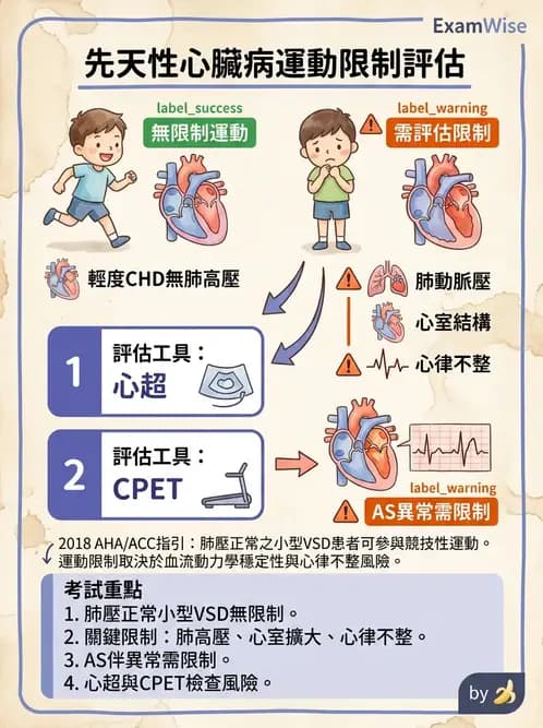 物治 - 心臟復健與運動處方 - AI 圖文解析預覽