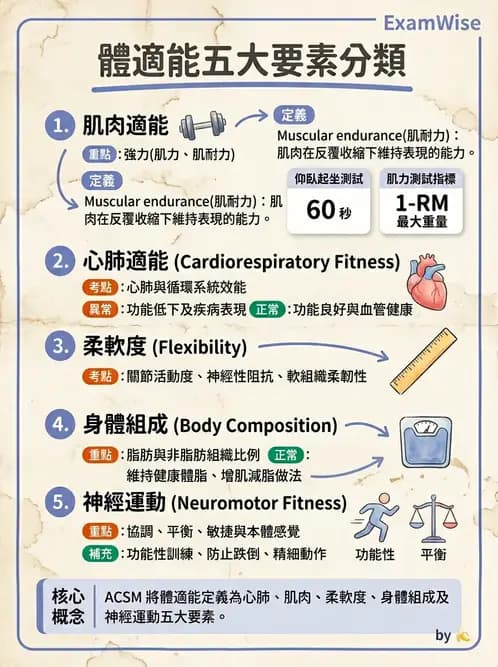 物治 - 體適能評估與運動測試 - AI 圖文解析預覽