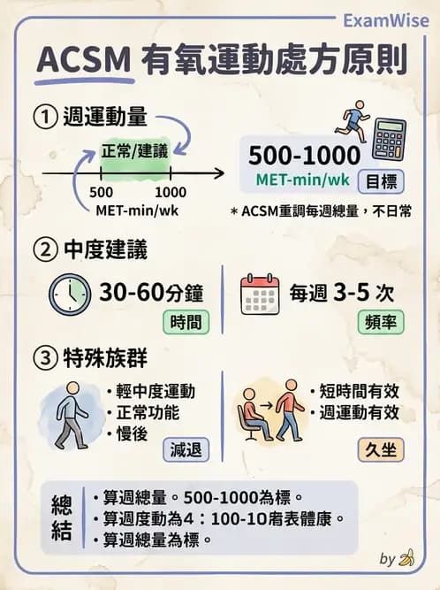 物治 - 運動篩檢與處方設計 - AI 圖文解析預覽