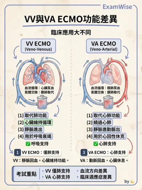 物治 - 心臟藥物、輔助裝置與周邊血管 - AI 圖文解析預覽