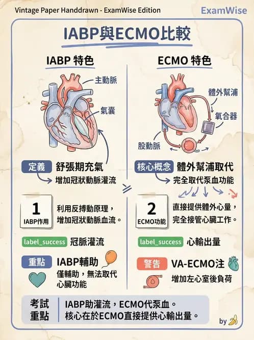 物治 - 心臟藥物、輔助裝置與周邊血管 - AI 圖文解析預覽