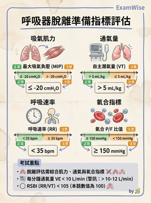 物治 - 胸腔手術、肺移植與呼吸器 - AI 圖文解析預覽