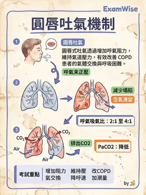 物治 - 氣道廓清與呼吸訓練技術 - AI 圖文解析預覽