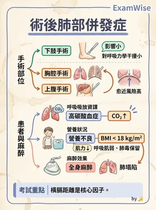物治 - 胸腔手術、肺移植與呼吸器 - AI 圖文解析預覽