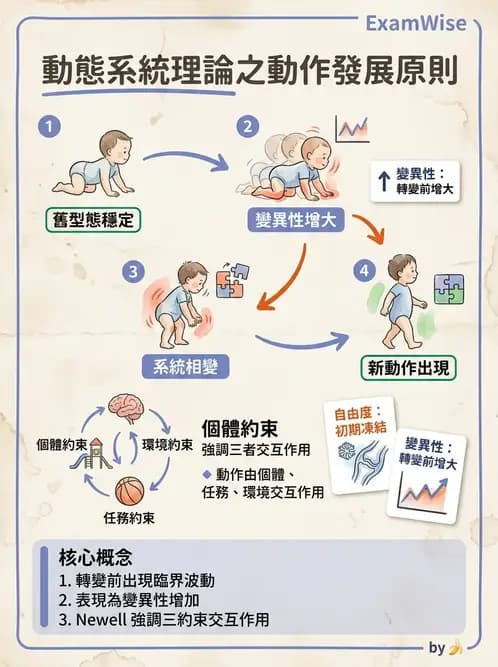 物治 - 小兒物理治療基礎與原理 - AI 圖文解析預覽