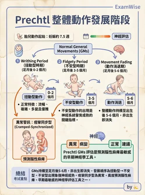 物治 - 新生兒與嬰兒發展評估 - AI 圖文解析預覽