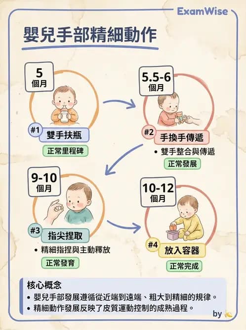 物治 - 兒童發展里程碑(動作與認知) - AI 圖文解析預覽
