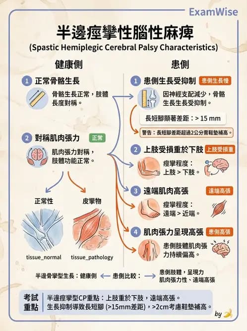 物治 - 腦性麻痺分類、評估與步態 - AI 圖文解析預覽