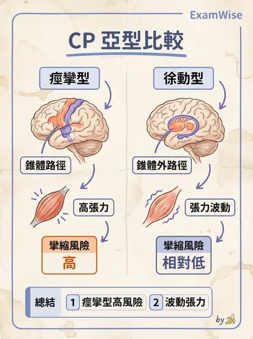 物治 - 腦性麻痺分類、評估與步態 - AI 圖文解析預覽