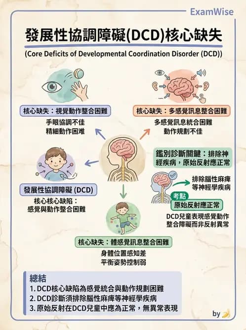 物治 - DCD、ADHD與行為介入 - AI 圖文解析預覽
