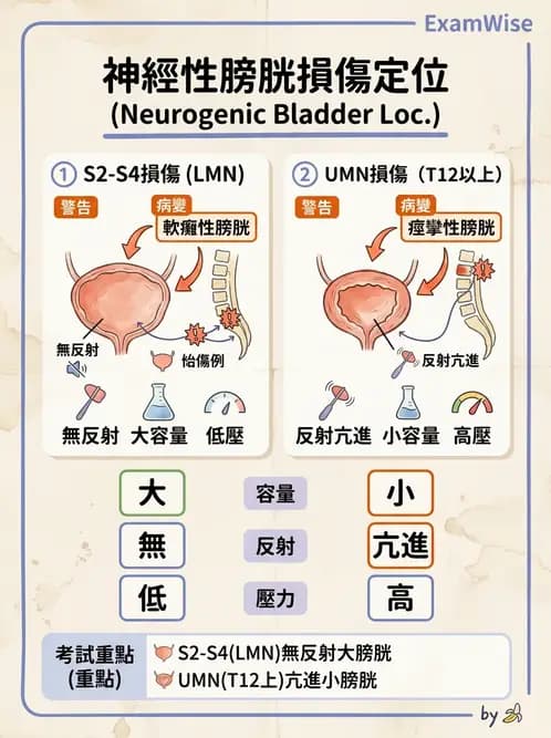 物治 - 脊柱裂、神經肌肉疾病與腦傷 - AI 圖文解析預覽
