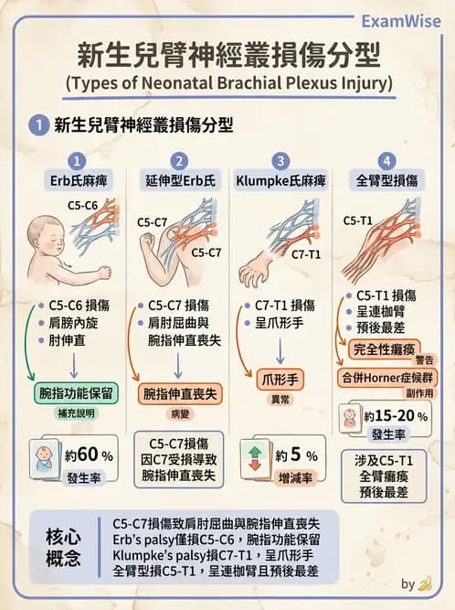 物治 - 脊柱裂、神經肌肉疾病與腦傷 - AI 圖文解析預覽