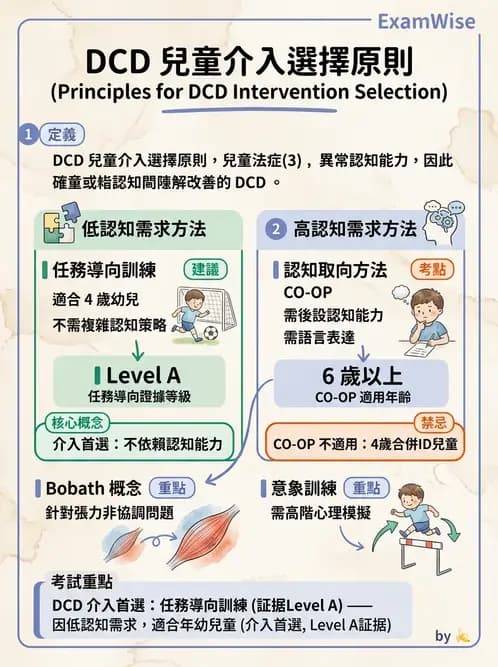 物治 - DCD、ADHD與行為介入 - AI 圖文解析預覽