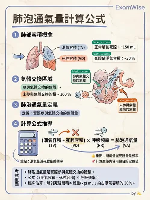物治 - 呼吸生理 - AI 圖文解析預覽