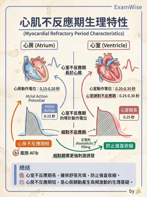 物治 - 心臟血管生理 - AI 圖文解析預覽