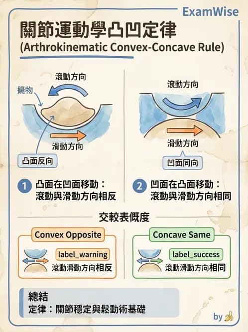 物治 - 關節運動學與生物力學計算 - AI 圖文解析預覽