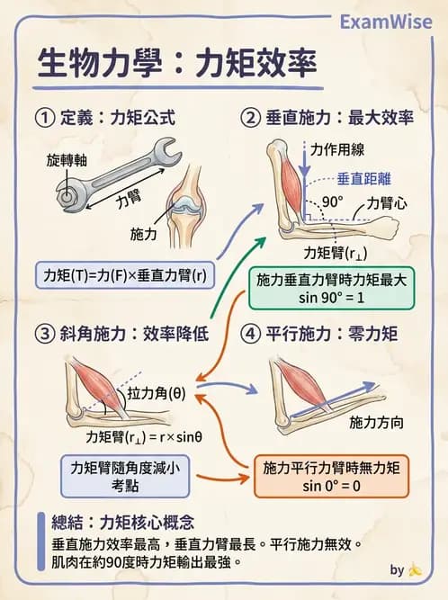 物治 - 關節運動學與生物力學計算 - AI 圖文解析預覽