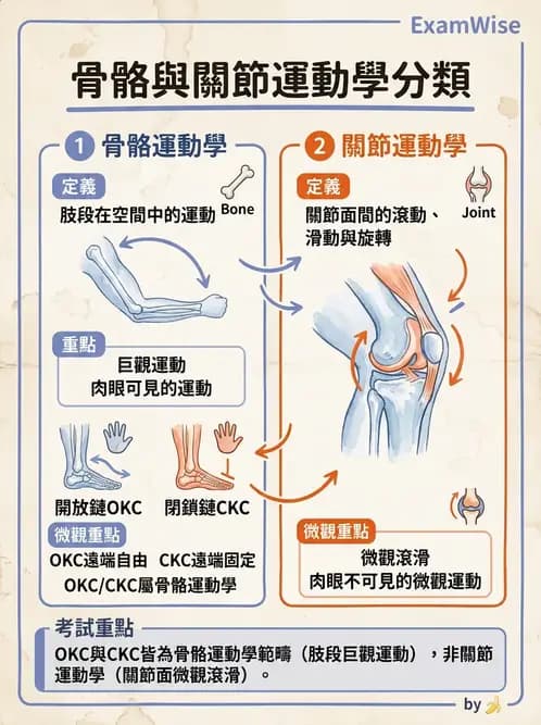 物治 - 關節運動學與生物力學計算 - AI 圖文解析預覽