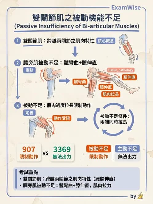 物治 - 膝關節肌動學與生物力學 - AI 圖文解析預覽