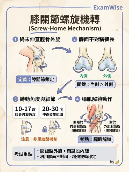 物治 - 步態週期與生物力學 - AI 圖文解析預覽