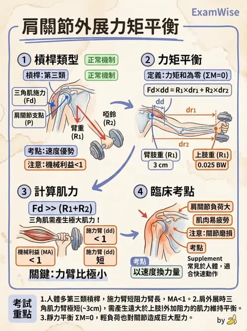 物治 - 關節運動學與生物力學計算 - AI 圖文解析預覽