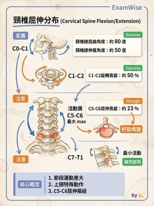 物治 - 頸椎肌動學與生物力學 - AI 圖文解析預覽