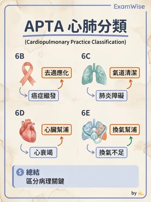 物治 - 專業組織與服務模式 - AI 圖文解析預覽