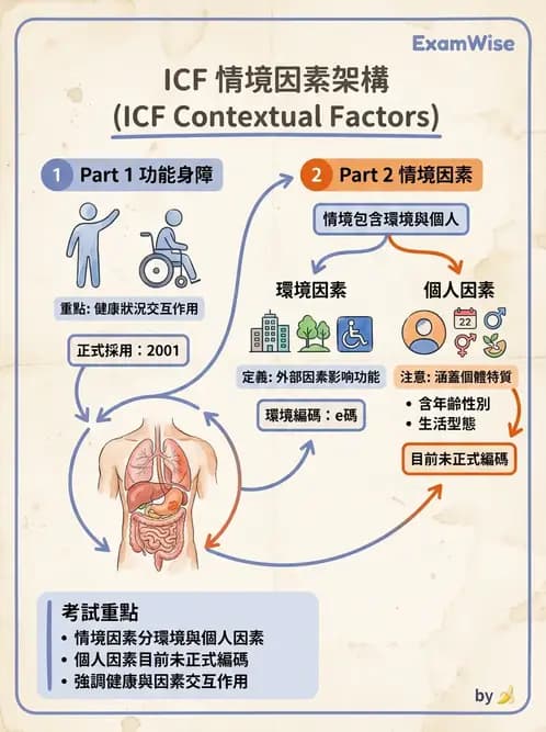 物治 - 病歷與紀錄管理 - AI 圖文解析預覽