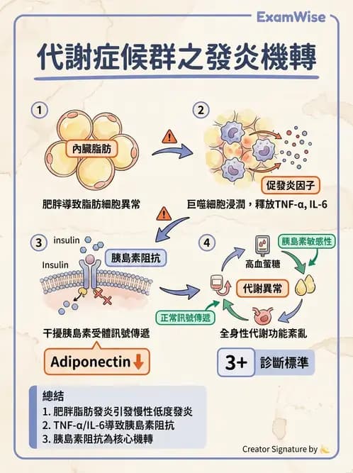 物治 - 內科疾病概論 - AI 圖文解析預覽