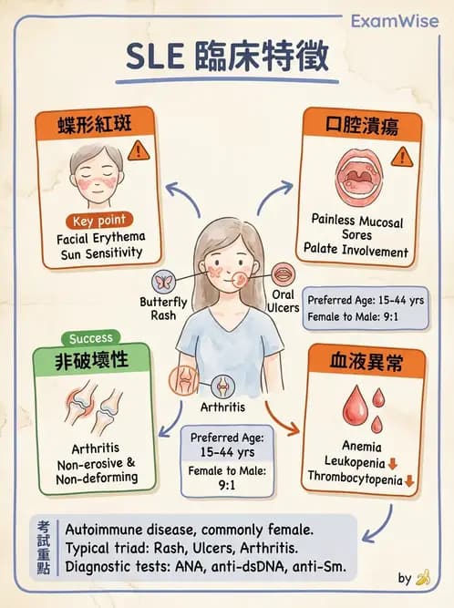 物治 - 內科疾病概論 - AI 圖文解析預覽