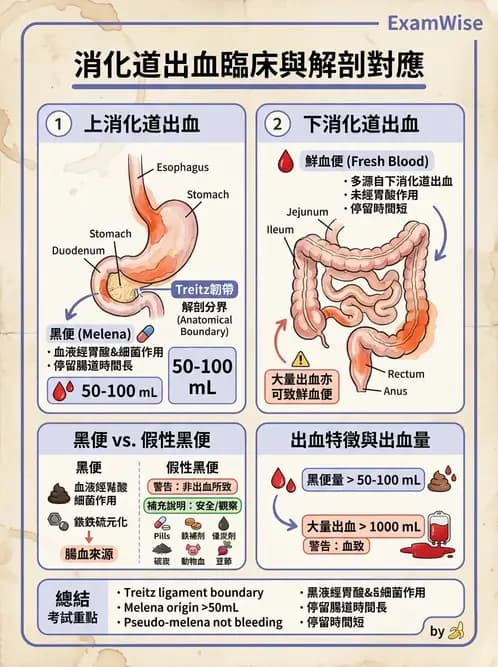 物治 - 內科疾病概論 - AI 圖文解析預覽