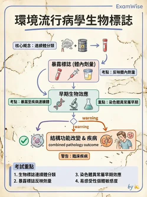物治 - 流行病學與健康篩檢 - AI 圖文解析預覽