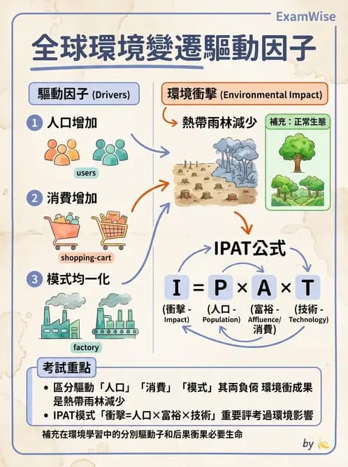 物治 - 環境與職業衛生 - AI 圖文解析預覽