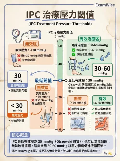 物治 - 力學因子 - AI 圖文解析預覽