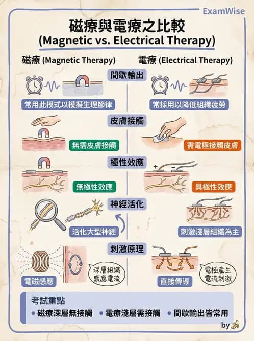 物治 - 物理因子特殊應用 - AI 圖文解析預覽