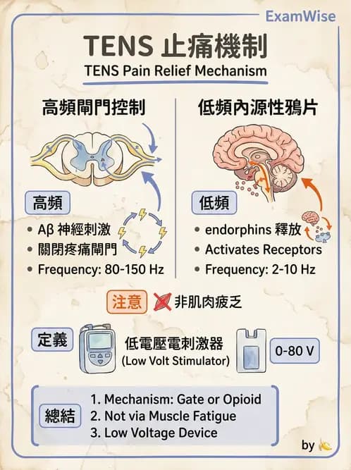 物治 - 經皮電刺激與電療基礎 - AI 圖文解析預覽