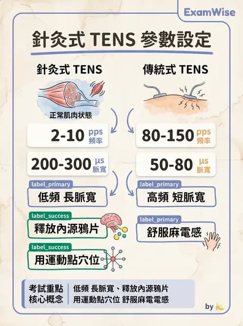 物治 - 經皮電刺激與電療基礎 - AI 圖文解析預覽