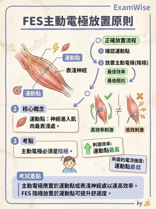 物治 - 功能性電刺激 - AI 圖文解析預覽