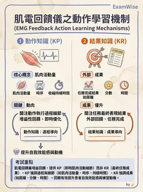 物治 - 肌電生物回饋 - AI 圖文解析預覽