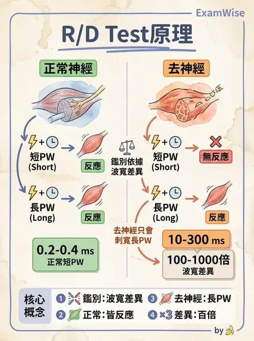 物治 - 電生理診斷 - AI 圖文解析預覽