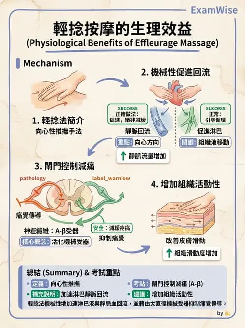 物治 - 瑞典式按摩與運動按摩 - AI 圖文解析預覽