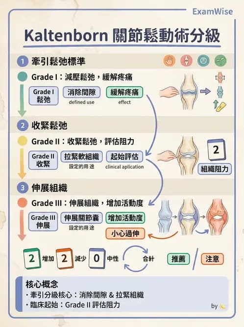物治 - 鬆動術分級理論 - AI 圖文解析預覽