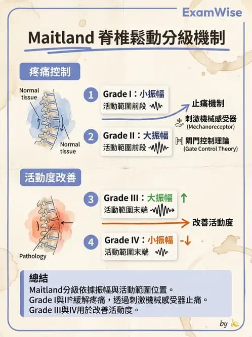 物治 - 鬆動術分級理論 - AI 圖文解析預覽
