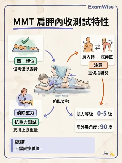 物治 - MMT通則、頭頸與軀幹 - AI 圖文解析預覽