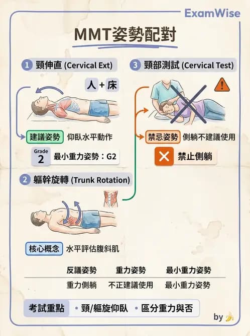 物治 - MMT通則、頭頸與軀幹 - AI 圖文解析預覽